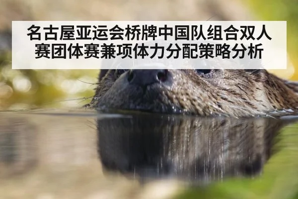 名古屋亚运会桥牌中国队组合双人赛团体赛兼项体力分配策略分析